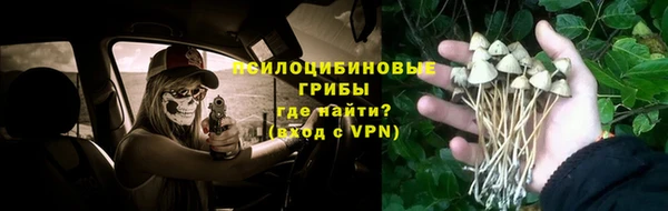гидра Зеленодольск