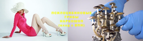 гидра Зеленодольск