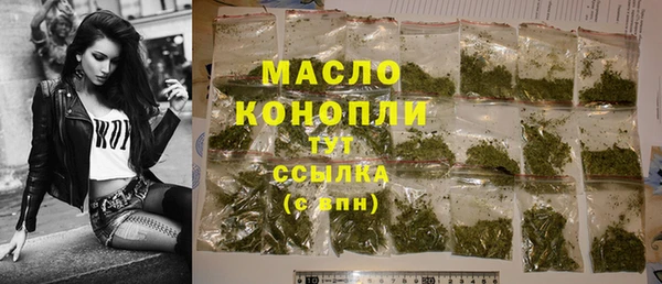 гидра Зеленодольск