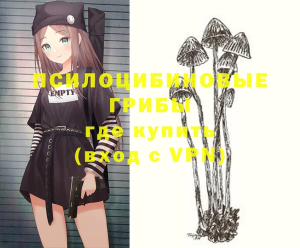 гидра Зеленодольск