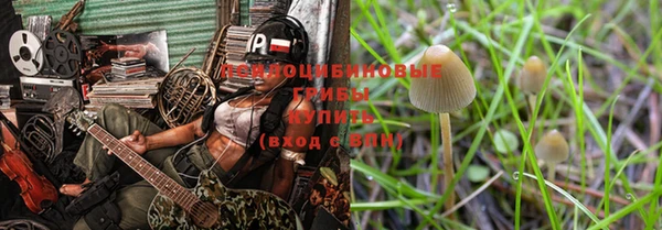 гидра Зеленодольск