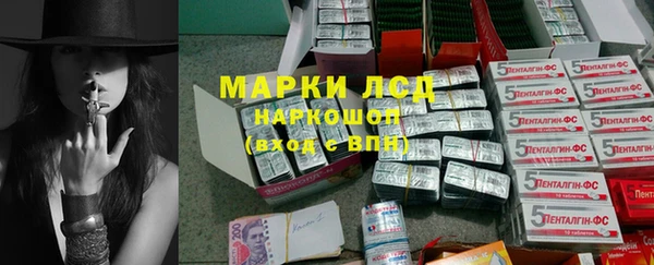 гидра Зеленодольск