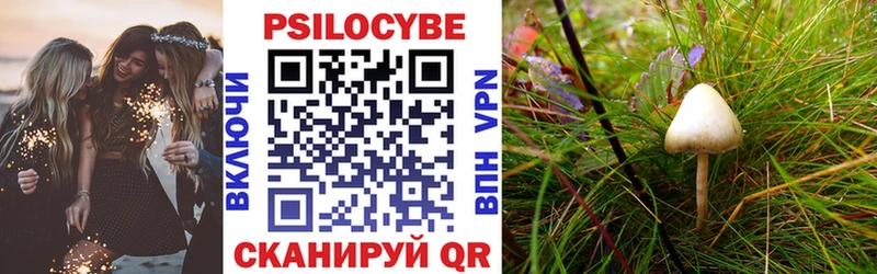 Псилоцибиновые грибы MAGIC MUSHROOMS  Черкесск 