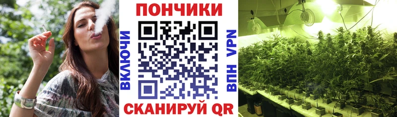 Бошки Шишки конопля Черкесск